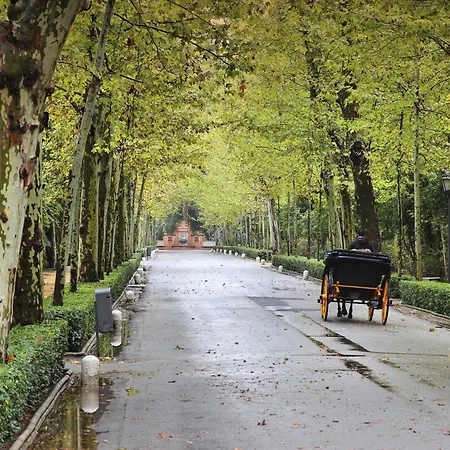 Parque De Maria Luisa *