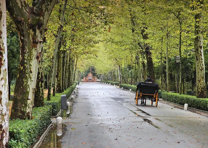 Parque De Maria Luisa *